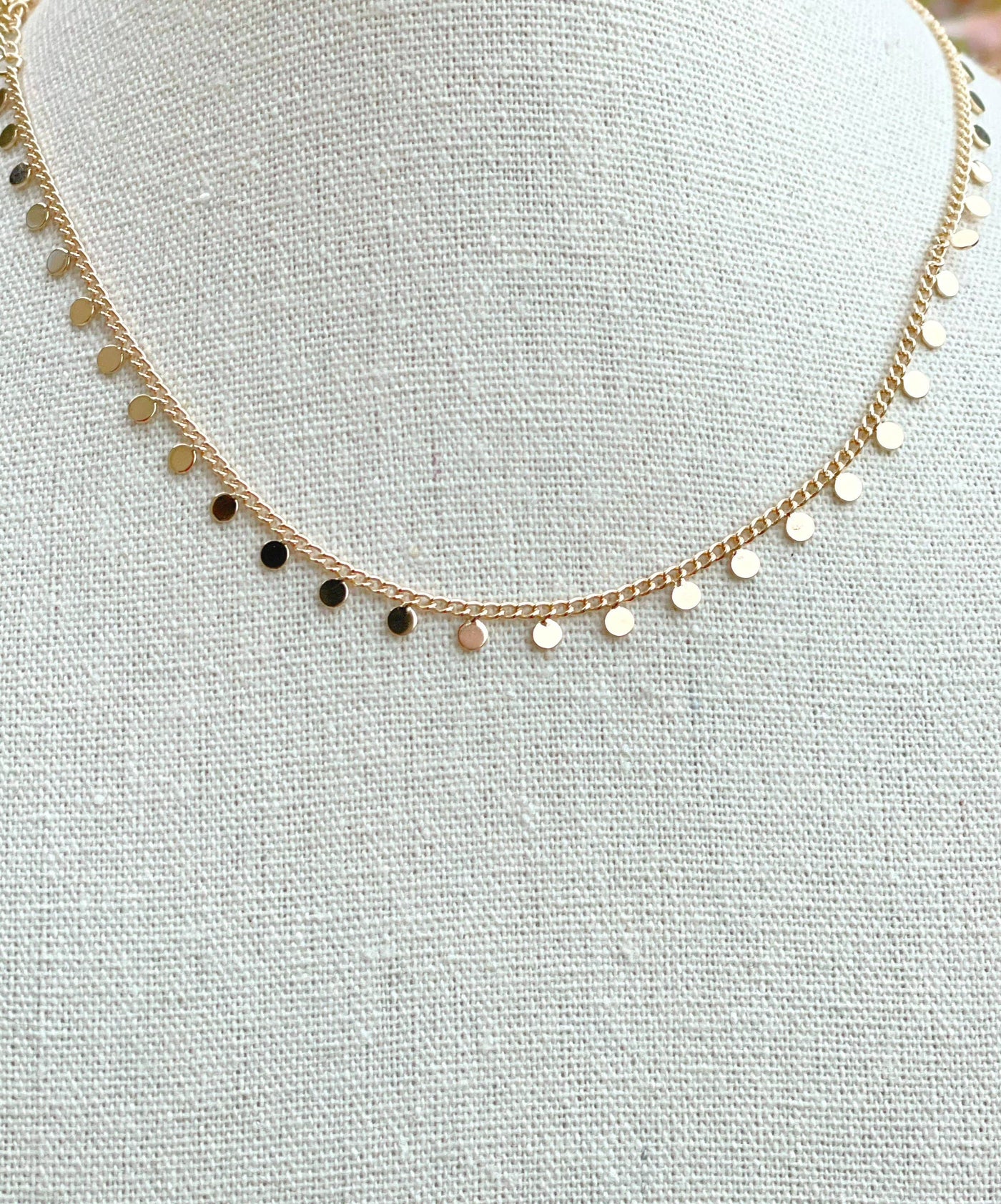 Taylor Shaye Gold Filled Coin Chain Choker