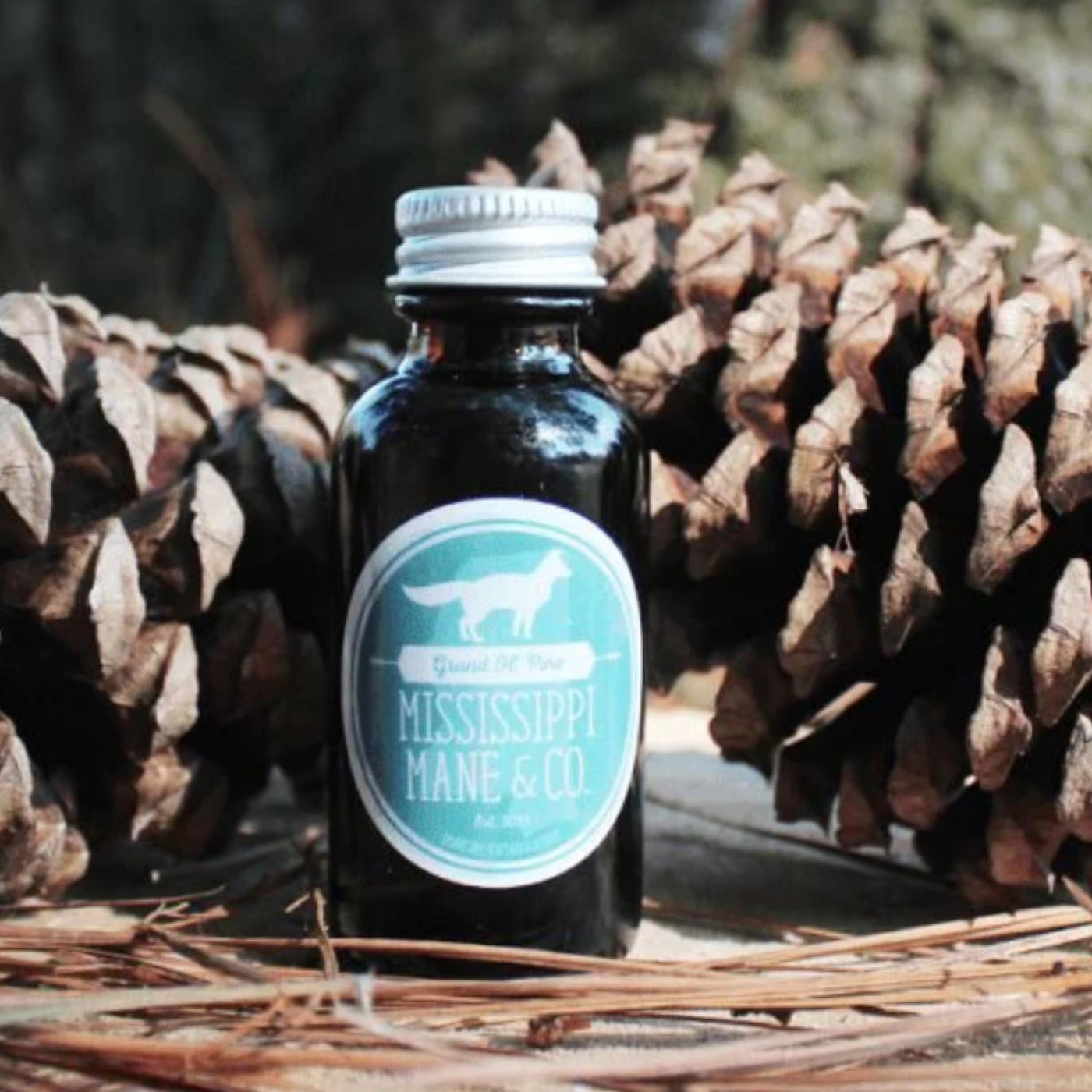 Grand Ol’ Pine Beard Oil