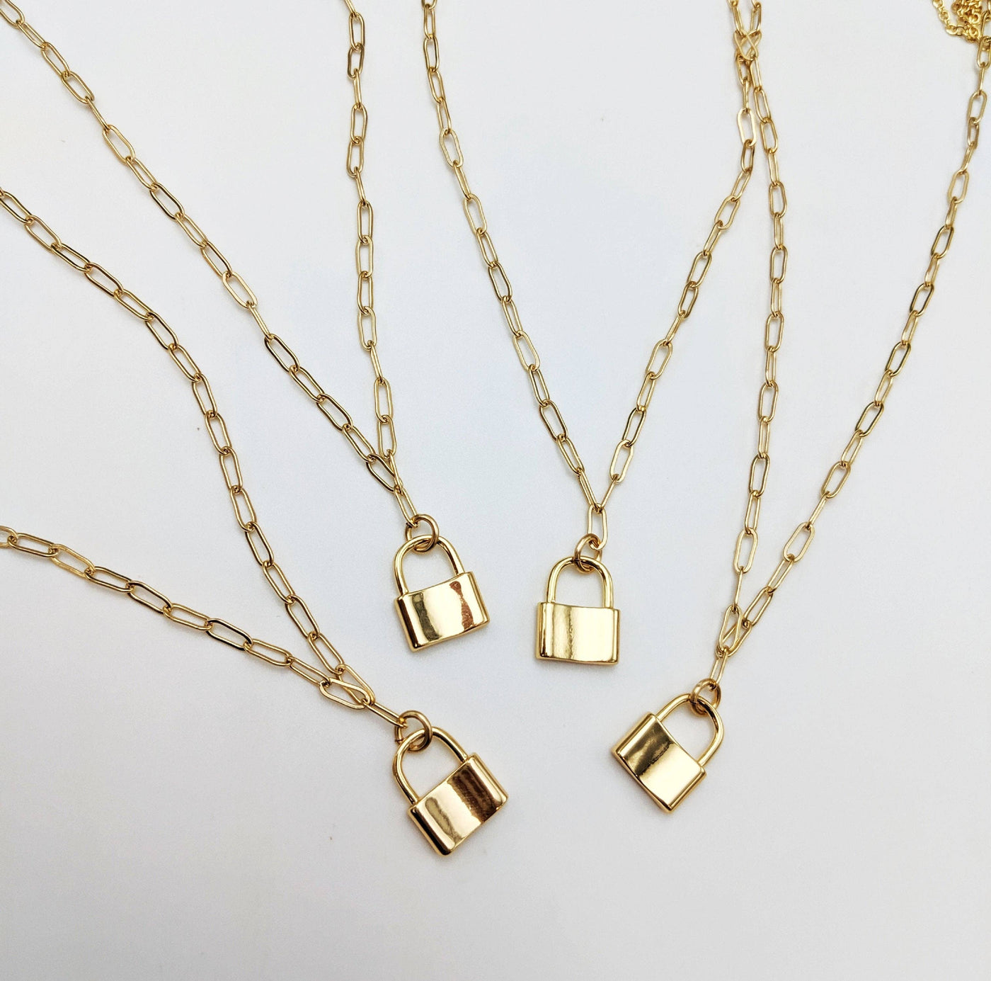 Taylor Shaye Dainty Lock Necklace