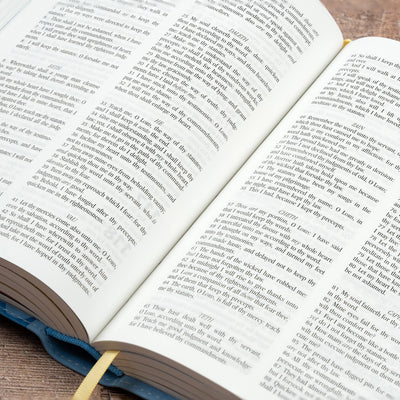 My First Real Bible: King James Version