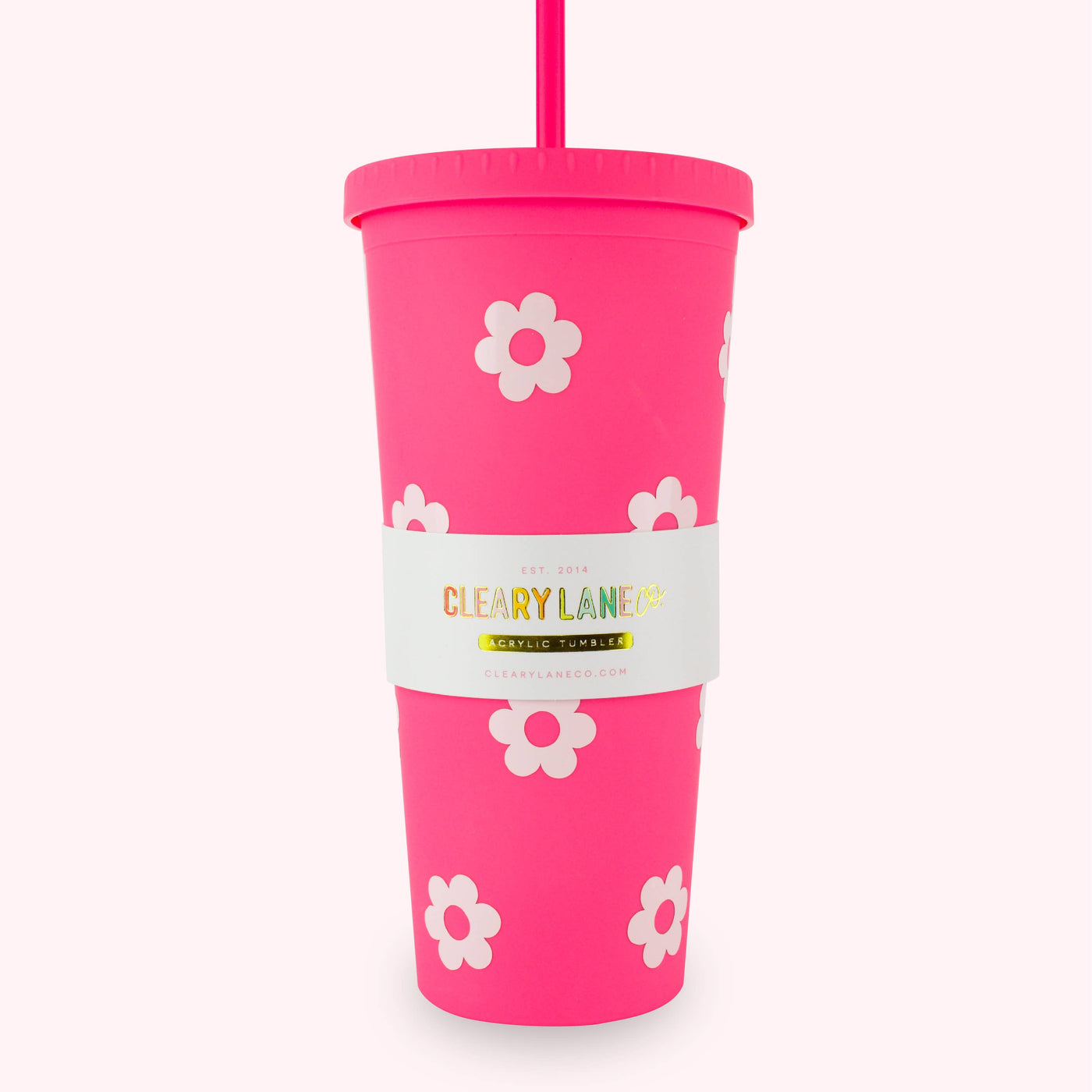 Clearly Lane 24oz Matte Tumbler Cup | Mint Stars