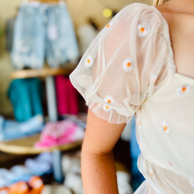 Cream Daisy Crop