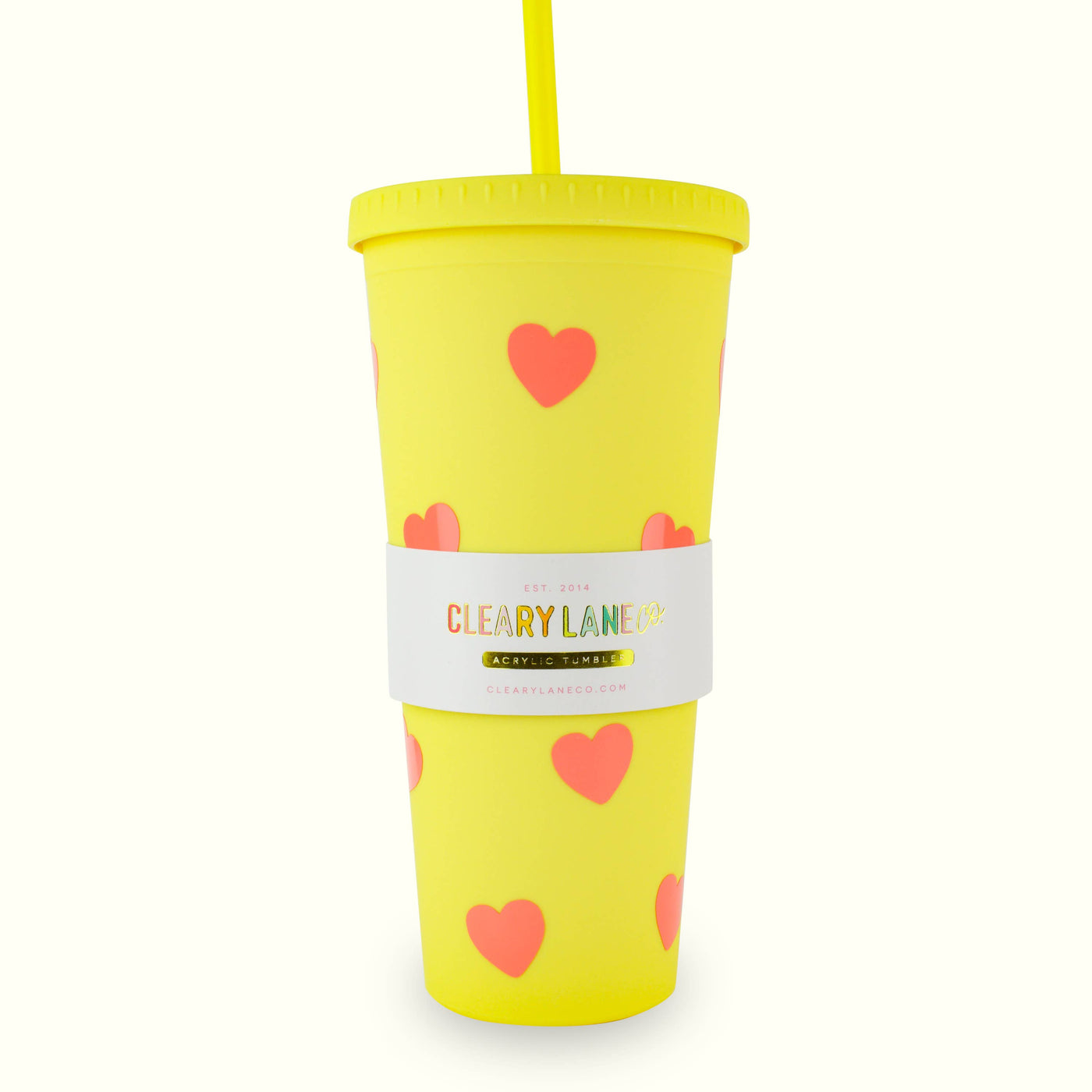 Clearly Lane 24oz Matte Tumbler Cup | Mint Stars